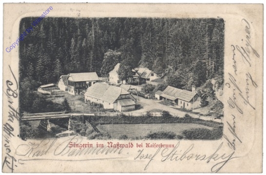 Schwarzau am Steinfeld, Singerin im Naßwald bei Kaiserbrunn