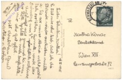 Schwarzau am Steinfeld, Ortsansicht