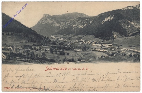 Schwarzau am Steinfeld, Ortsansicht