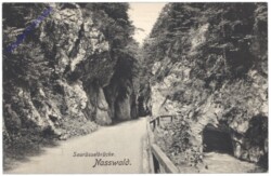 Schwarzau am Steinfeld, Nasswald, Saurüsselbrücke