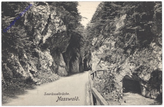 Schwarzau am Steinfeld, Nasswald, Saurüsselbrücke