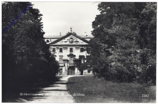 Schwarzau am Steinfeld, Schloss
