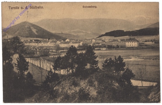 Ternitz, Ortsansicht