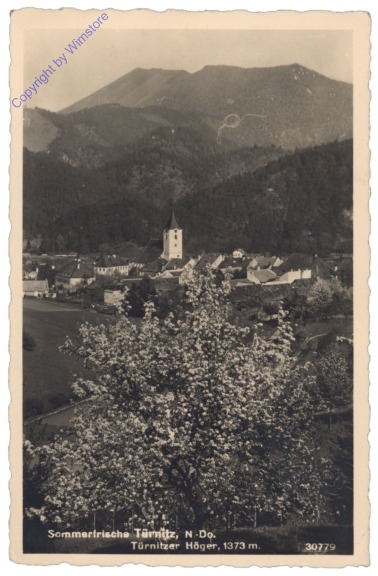 Türnitz, Ortsansicht