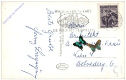 Waidhofen an der Ybbs, Ortsansicht