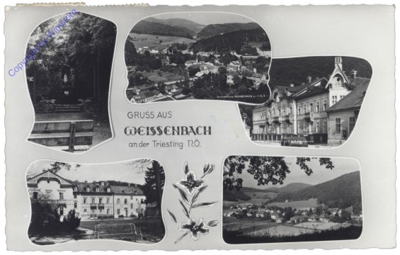 ak133439 Weissenbach a.d. Triesting, Multiansicht