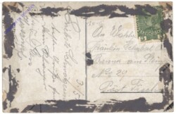 Wiener Neustadt, K.k. Staats-Gymnasium