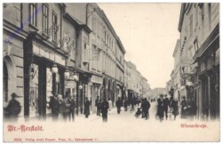 Wiener Neustadt, Wienerstrasse