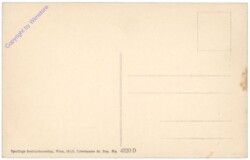 Wiener Neustadt, Spinnerin am Kreuz