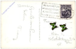 Wiener Neustadt, Hauptplatz