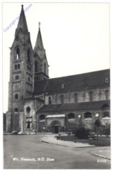 Wiener Neustadt, Dom