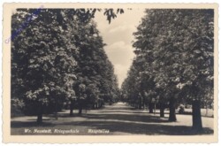 Wiener Neustadt, Kriegsschule Hauptallee