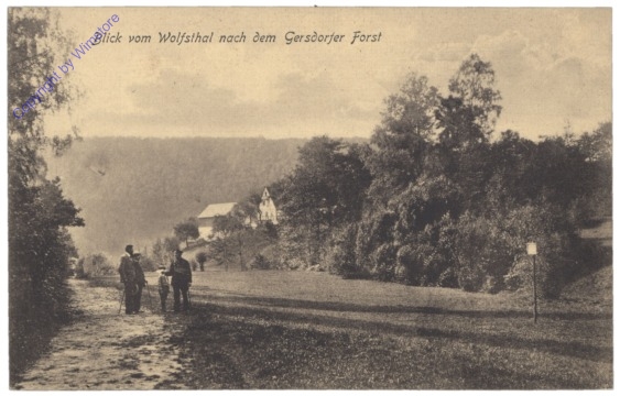 Wolfsthal, Blick vom Wolfsthal nach dem Gersdorfer Forst