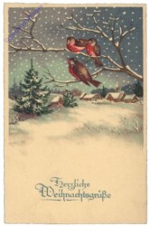 Vogerl auf Baum