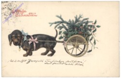 Hund zieht eine Kutsche mit Zweigen