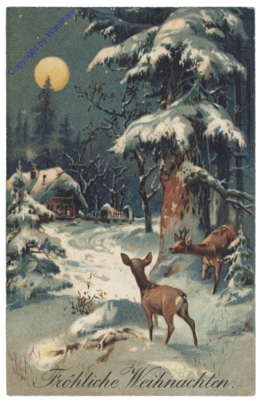 Rehe am Waldrand