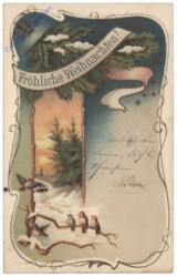 ak133792 Vögel auf Zweig