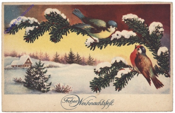 Zwei Vögel auf einem Zweig