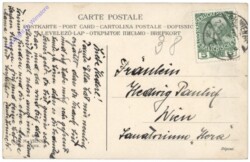 Kinder ziehen den Christbaum, Mistelzweige und Ilex