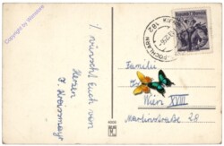 Kinder mit Tröte und Stern