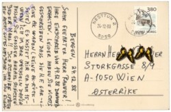 Zwergerl mit Bärenfamilie