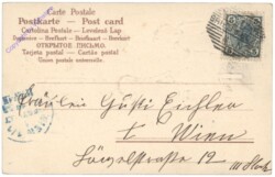 Engerl schmücken den Baum