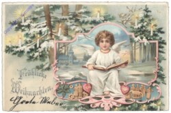 ak133971 Engerl liest