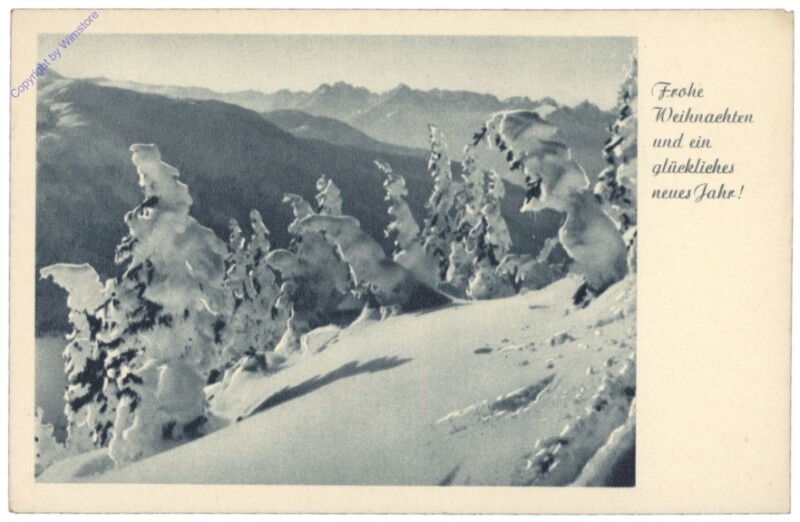 Verschneiter Wald