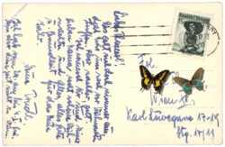 Verschneite Landschaft