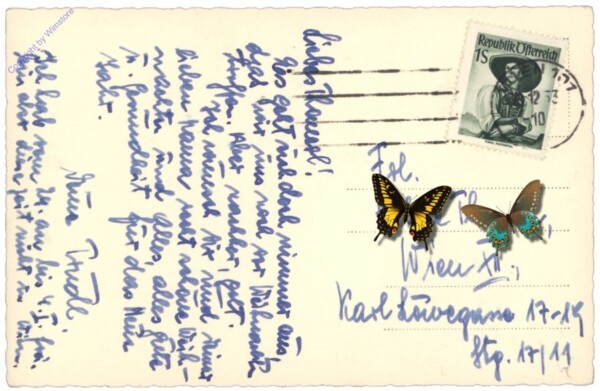 Verschneite Landschaft