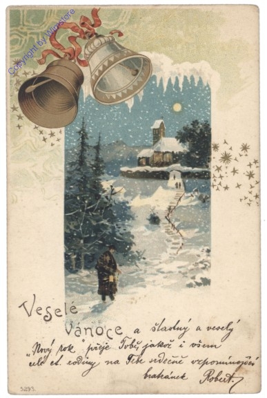 Spaziergang im verschneiten Wald