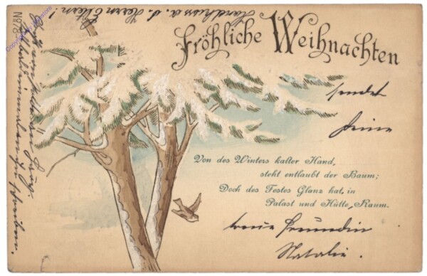 Verschneiter Baum