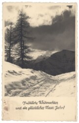 Verschneiter Bergweg