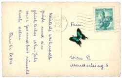 Verschneiter Bergweg