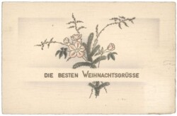 Tannenzweig mit Blumen