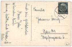 Tannenzweig mit Blumen