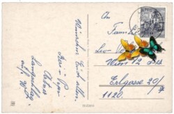 Glocken, Zweige und Blumen