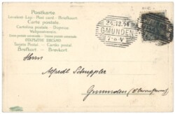 Christbaumzweig