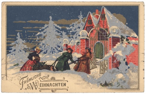 Mit dem Baum nach Hause