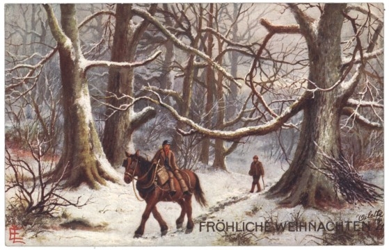 Mit dem Pferd durch den Wald