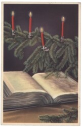 Buch unter Christbaumzweig