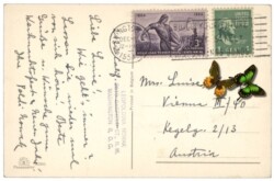 Buch unter Christbaumzweig