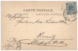 Dame auf einer Leiter