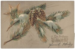 Zweige mit Zapfen und Stern