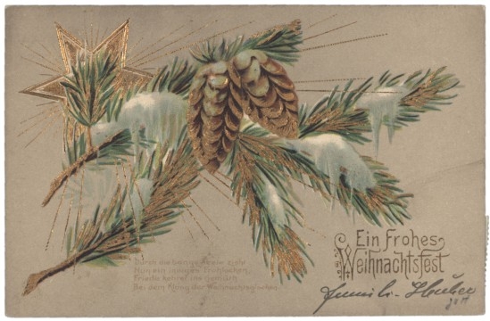 Zweige mit Zapfen und Stern