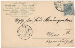 Zweige mit Zapfen und Stern
