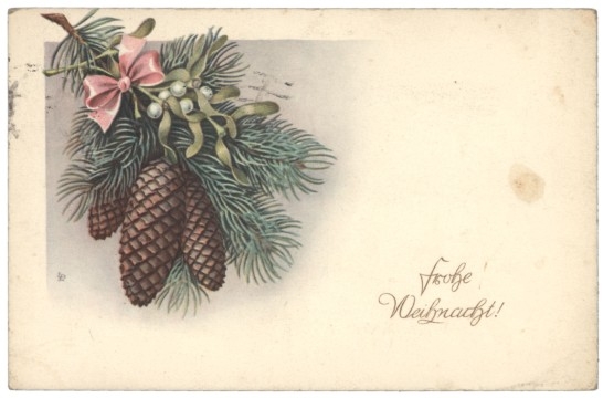 Zweige mit Zapfen und Schleife