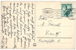 Zweige mit Zapfen und Schleife