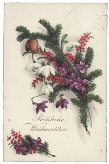 Zapfen und Frühlingsblüher