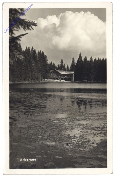 Bayrisch Eisenstein, Arbersee